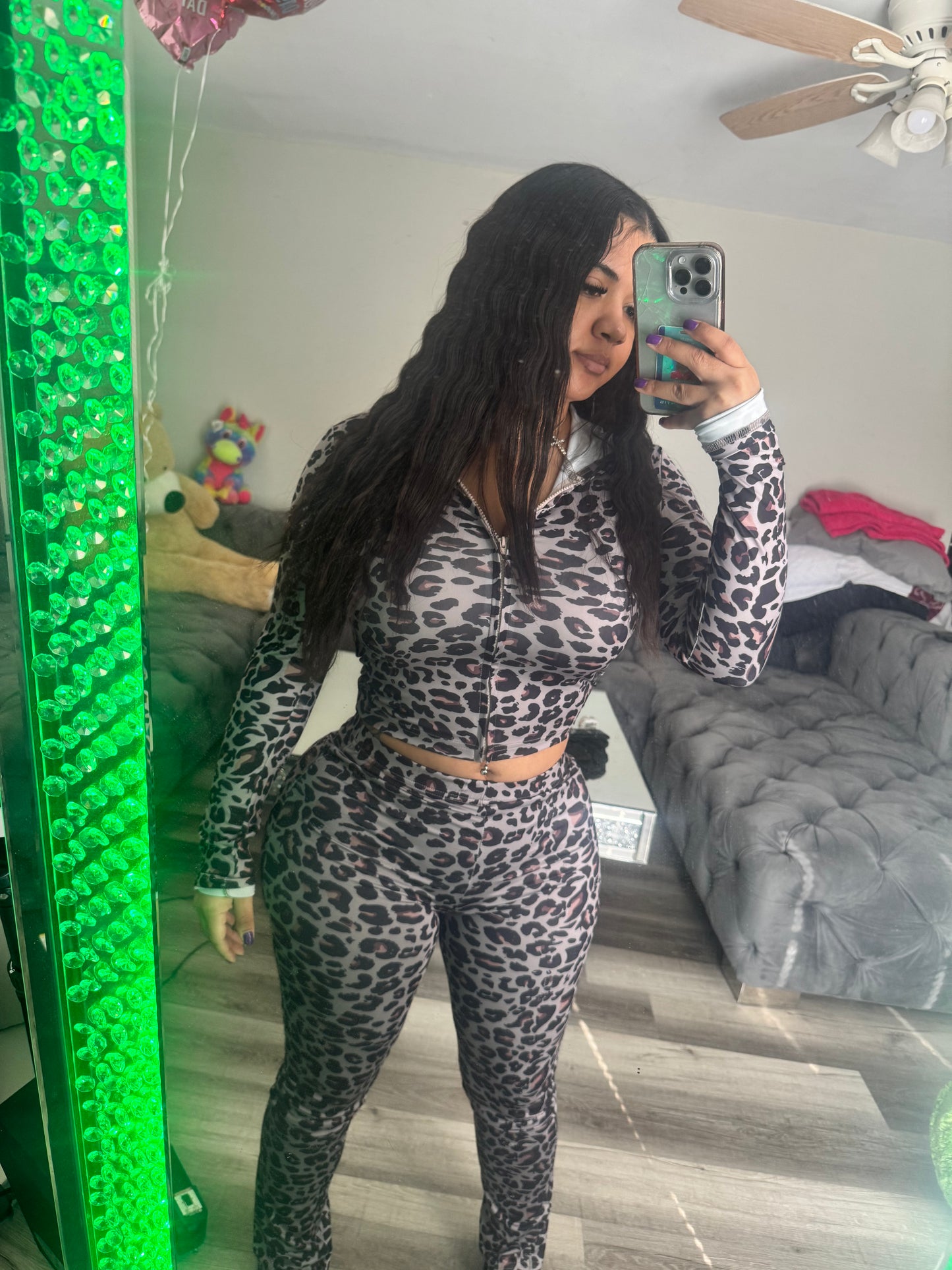 Cheetah set